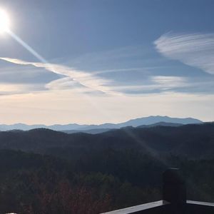 Meet your Posher, Traci